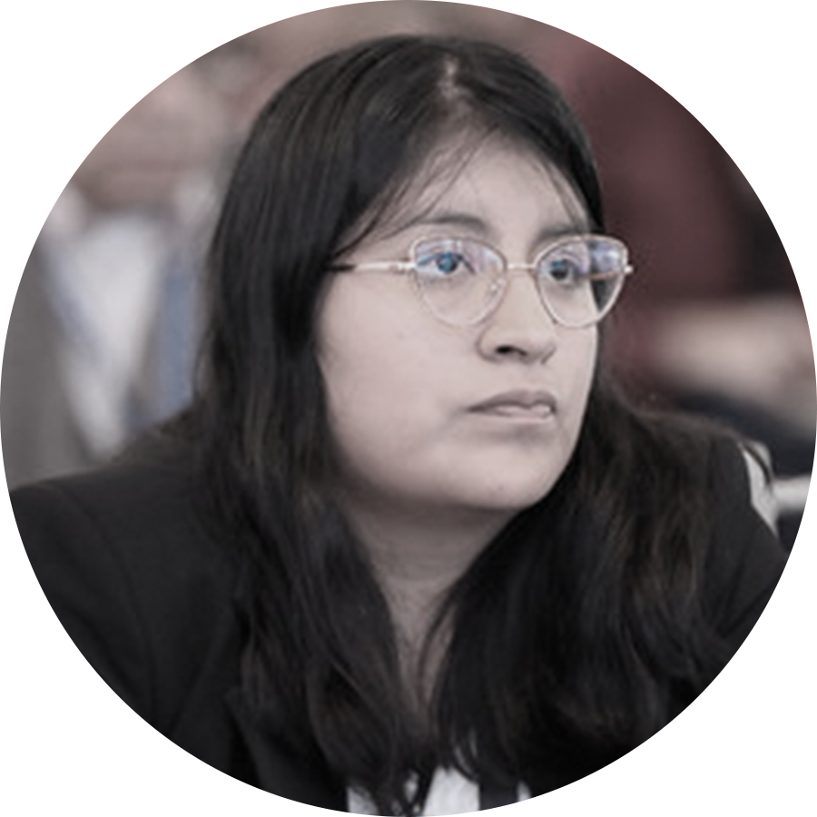 Avatar de Erika Joselin Huamani Cucchi